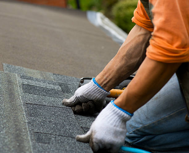 Best Metal Roofing Contractor  in Natchez, MS