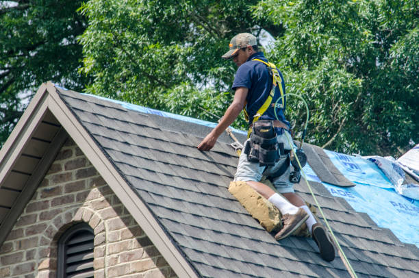 Best New Roof Installation  in Natchez, MS